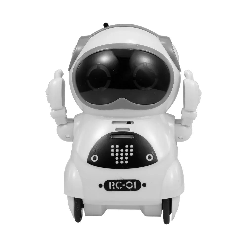 Pocket Emo Robot, Talking Interactive Dialogue, Voice Recognition Record