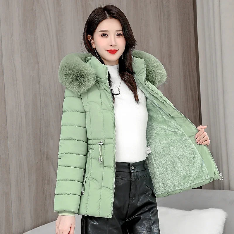 Down Winter Jacket Women Parkas Fashion, High-Quality Warm Cotton Padded & Hooded Coat