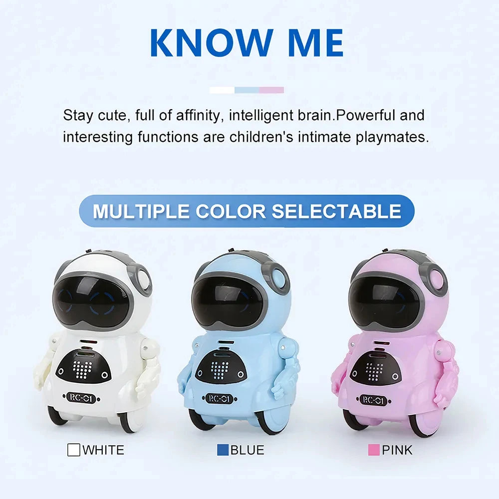 Pocket Emo Robot, Talking Interactive Dialogue, Voice Recognition Record